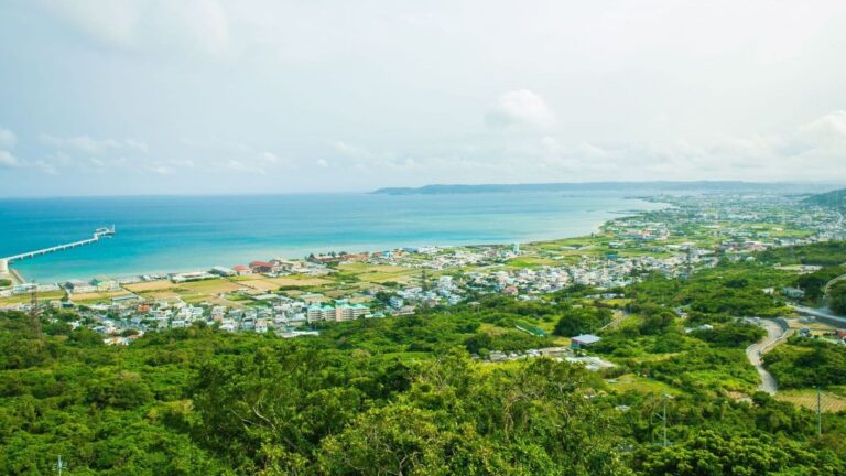 Urbanisation du littoral et des poissons : plus de nourriture, plus de stress