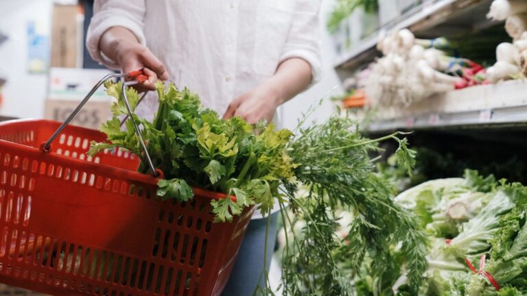 Atlas des agro-industries : qui contrôle ce que vous mangez et comment cela influence les prix