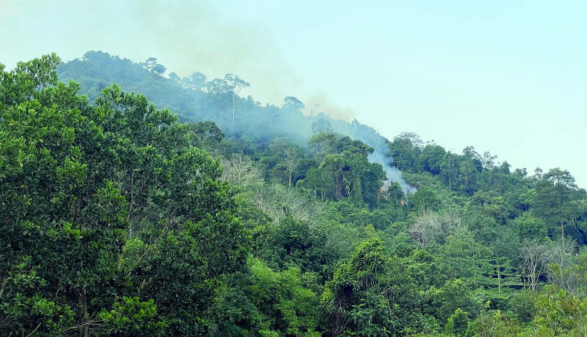 Ladera con bosque tropical en Bukit Mangkol, en la isla de Bangka, con humo de un pequeño incendio forestal